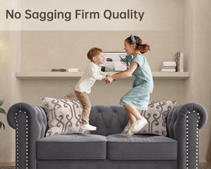 2 Piece Classic Chesterfield 3-Seater Set, Tufted Chair & Loveseat Furniture Solid Wood Legs Thick Cushion, Pet-Friendly Couch Set for Living Room Bedroom Apartment, Velvet Grey